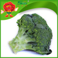 Chinese frozen broccoli sprouts with top quality, cheap price